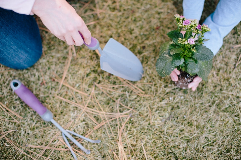 DIY Spring Garden Projects You’ll Love